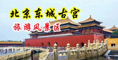 欧美美女戳屄视频中国北京-东城古宫旅游风景区